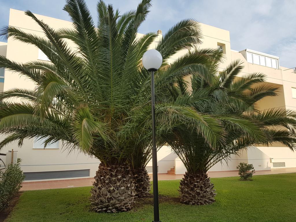 Alondras Playa Denia Διαμέρισμα Εξωτερικό φωτογραφία
